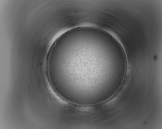 X0000112811053200908281503