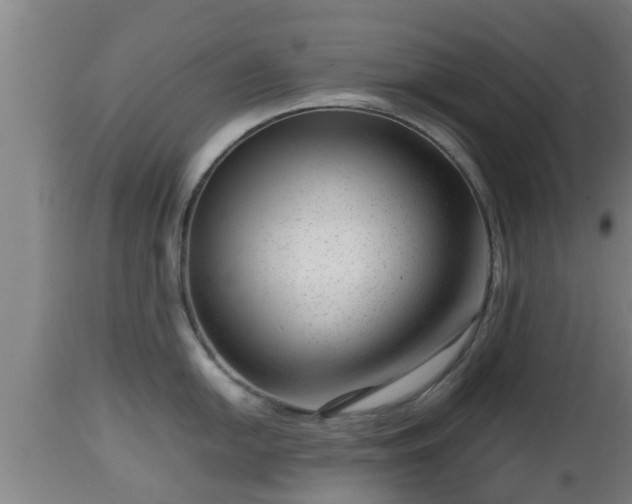 X0000112811054200908281503