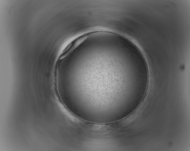 X0000112811056200908281503
