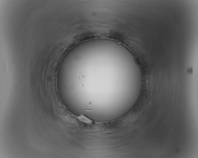 X0000112811057200908281502