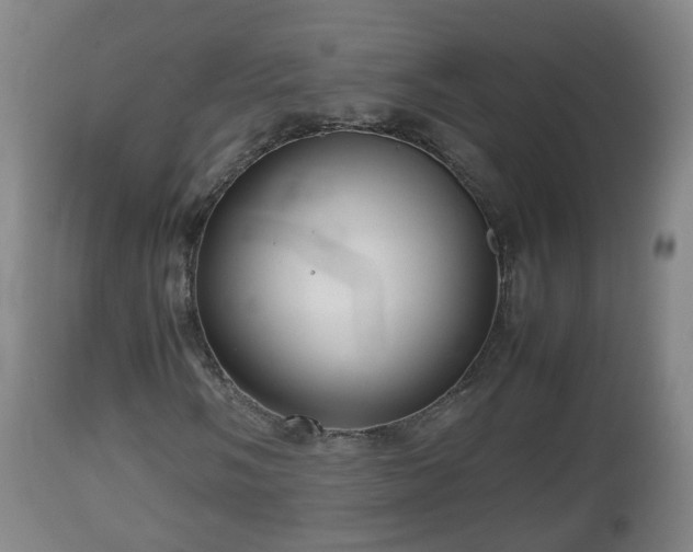 X0000112811058200908281502