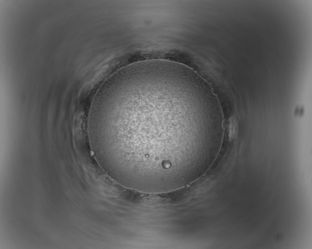 X0000112811059200908281502