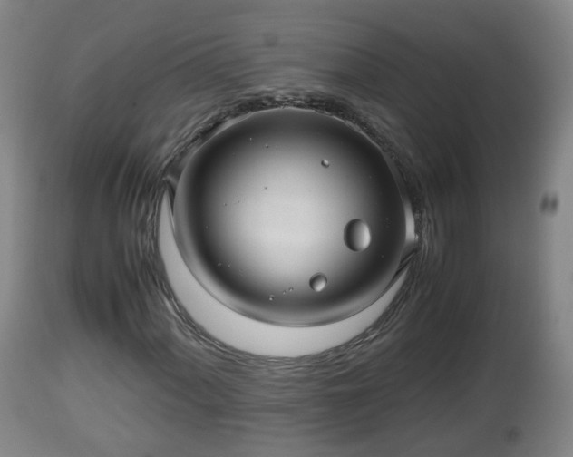 X0000112811060200908281502