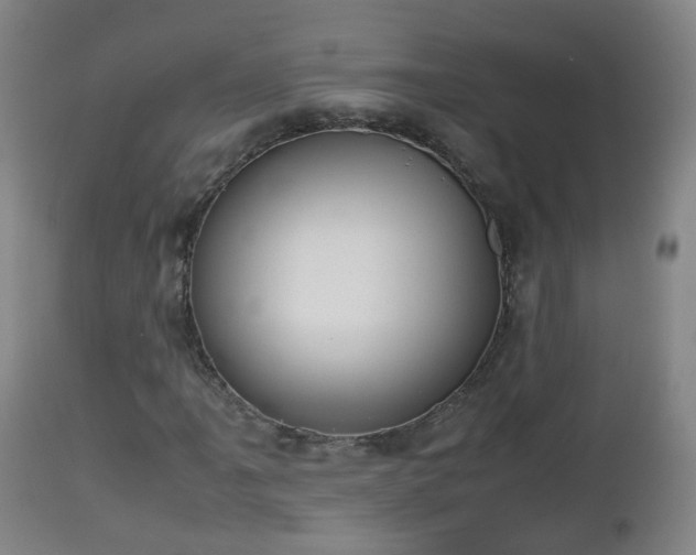 X0000112811061200908281502