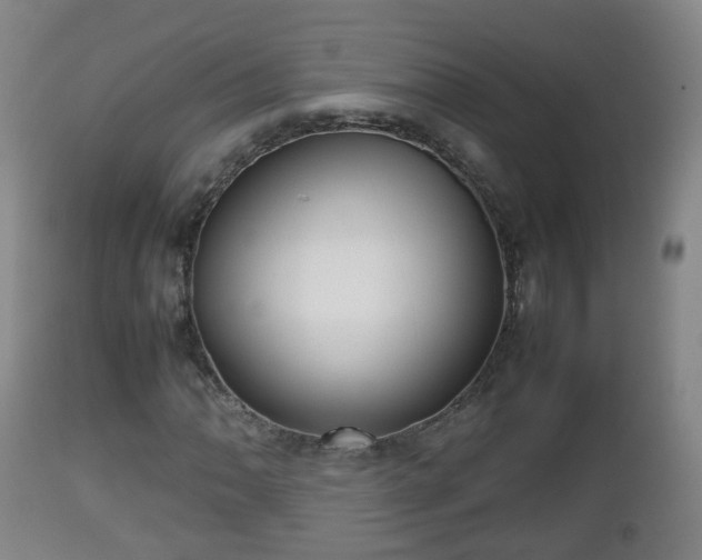 X0000112811062200908281502