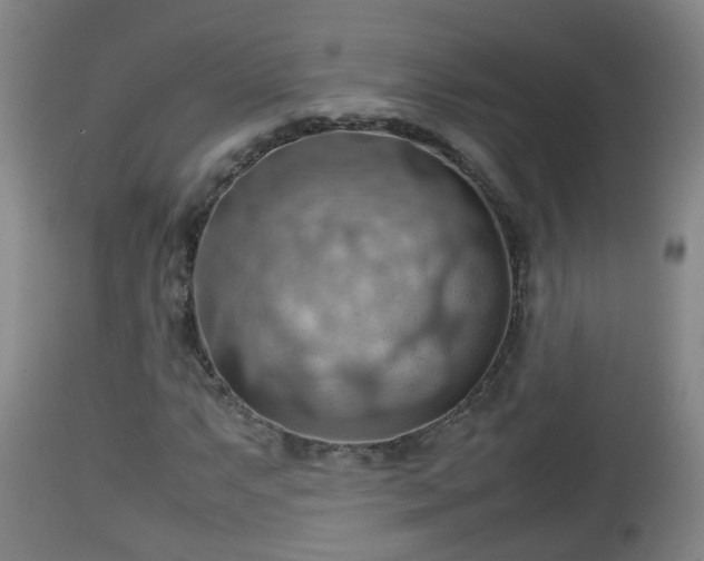 X0000112811063200908281502