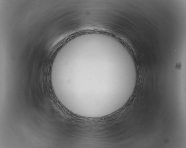 X0000112811064200908281502