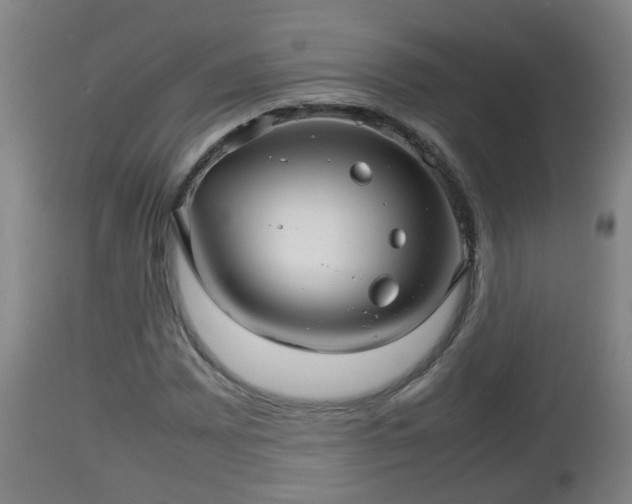 X0000112811065200908281502