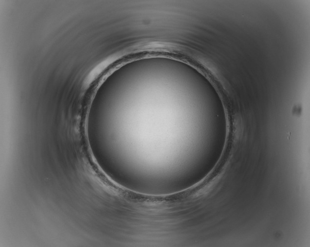 X0000112811066200908281502
