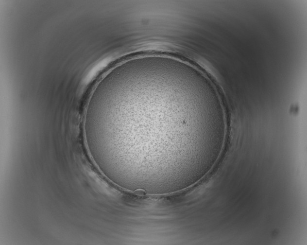 X0000112811067200908281502
