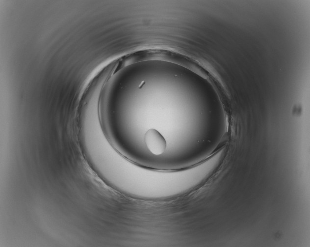 X0000112811068200908281502
