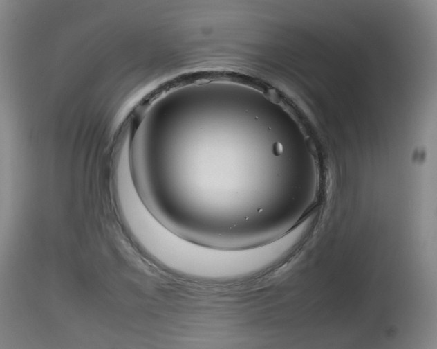 X0000112811069200908281502