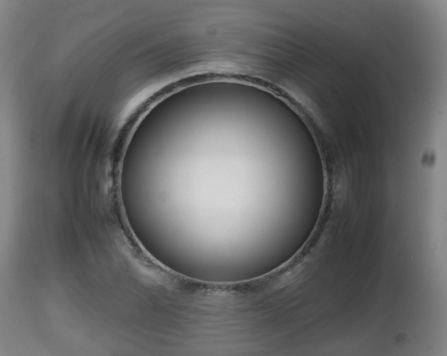 X0000112811070200908281502