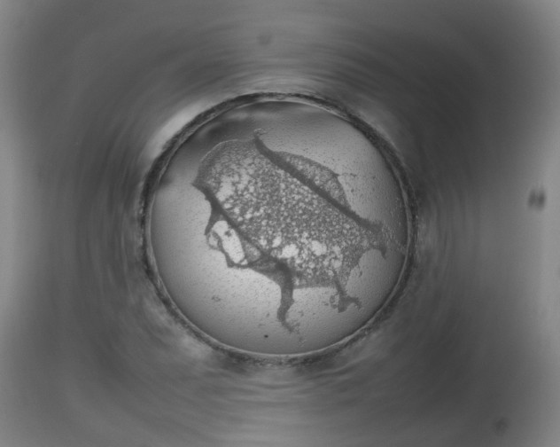 X0000112811071200908281502