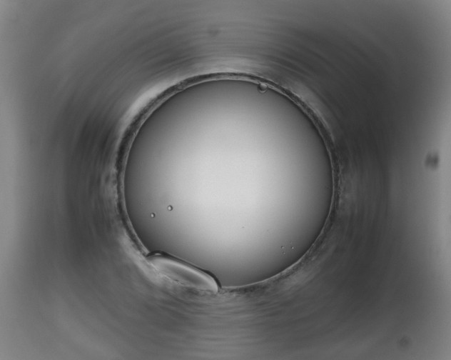 X0000112811072200908281502