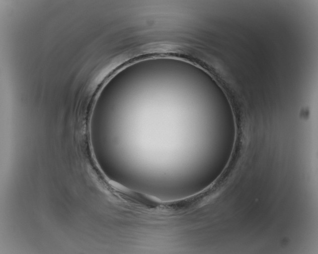 X0000112811073200908281502