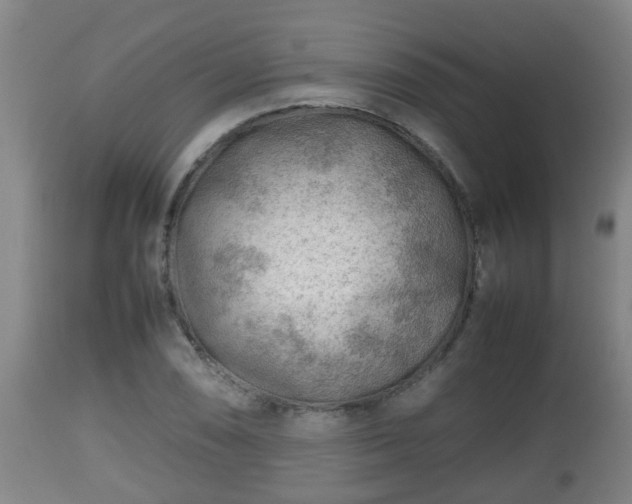 X0000112811074200908281502