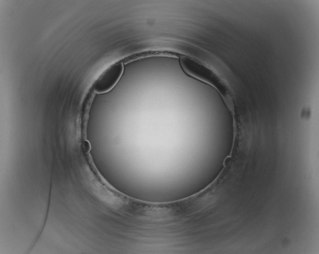 X0000112811076200908281502