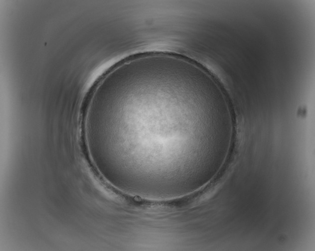 X0000112811077200908281502