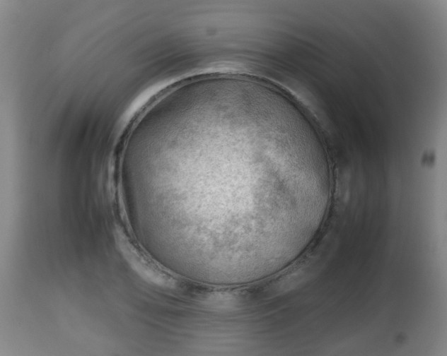 X0000112811078200908281502