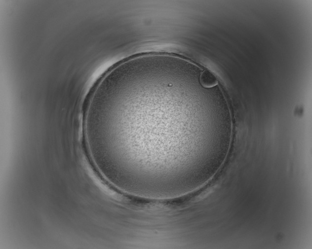 X0000112811079200908281502