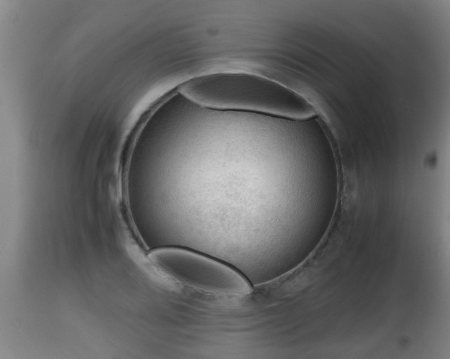 X0000112811080200908281502