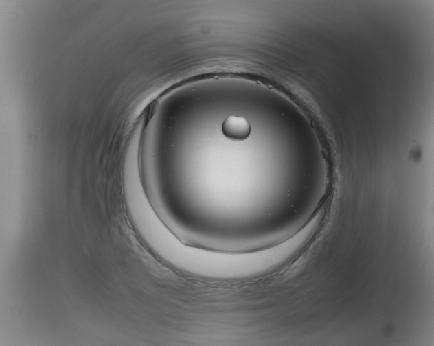 X0000112811081200908281502