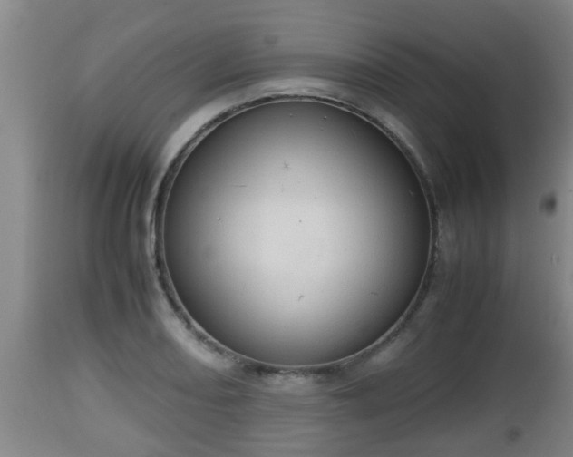 X0000112811082200908281502
