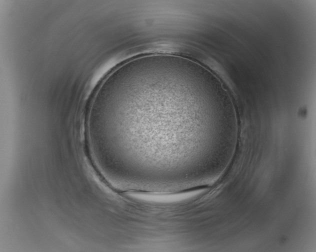 X0000112811083200908281502