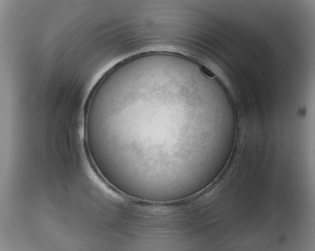 X0000112811084200908281502