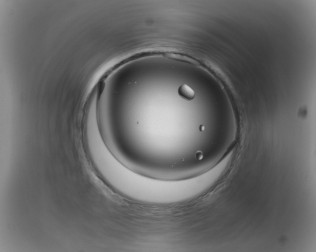 X0000112811085200908281502
