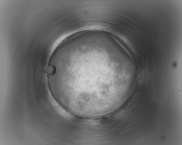X0000112811086200908281502