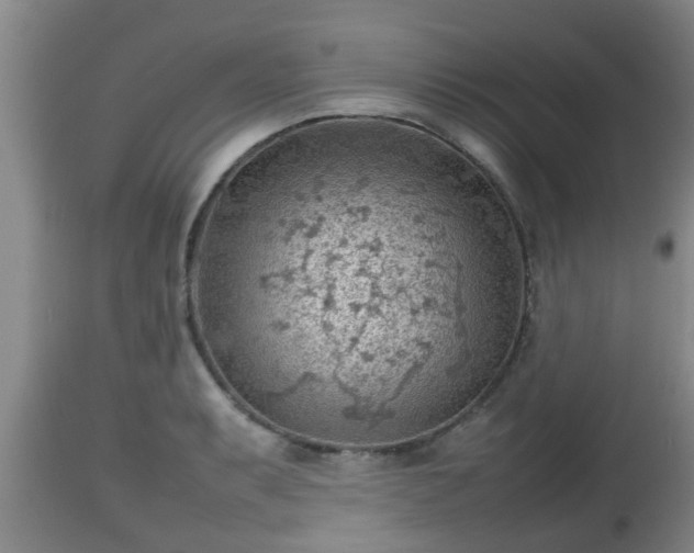X0000112811087200908281502