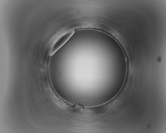 X0000112811089200908281502