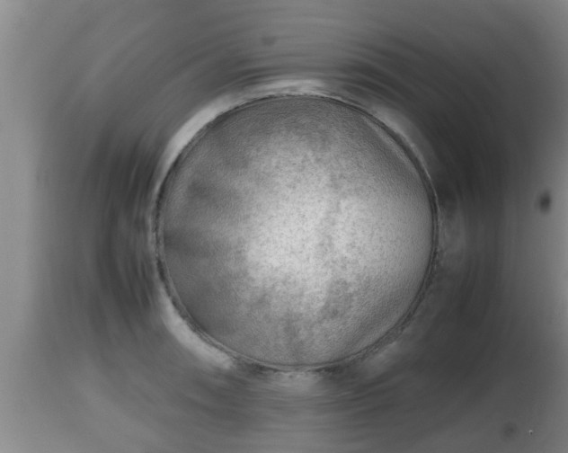 X0000112811090200908281502