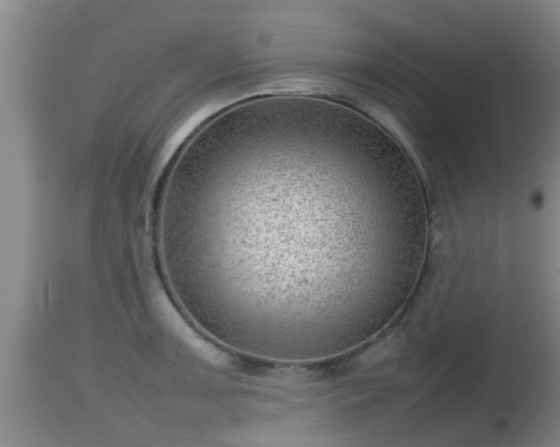 X0000112811091200908281501