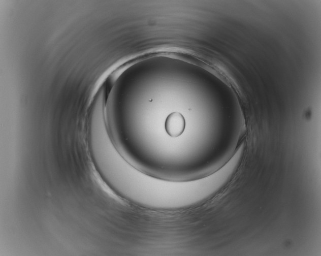 X0000112811092200908281501