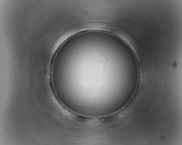 X0000112811093200908281501