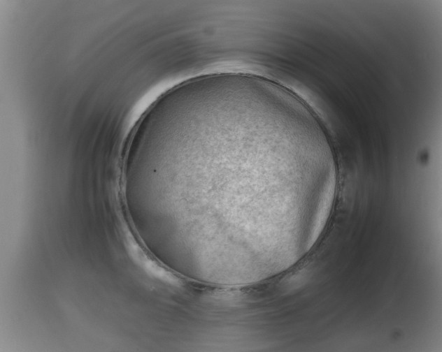 X0000112811094200908281501