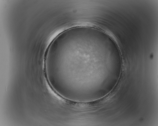 X0000112811095200908281501