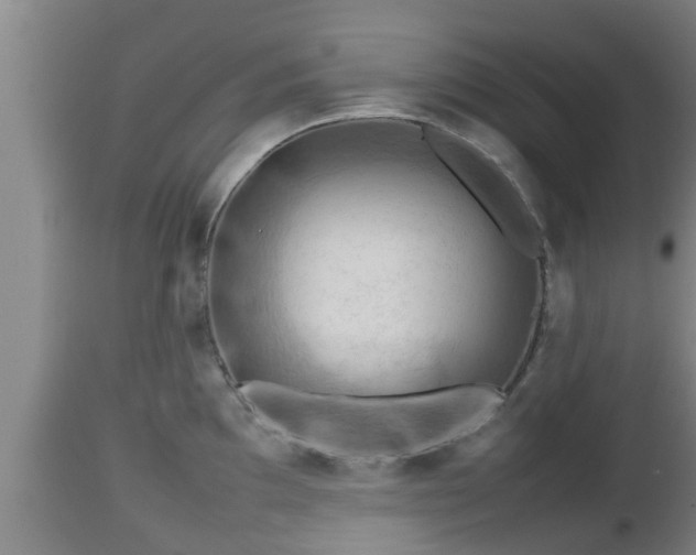 X0000112811097200908281501