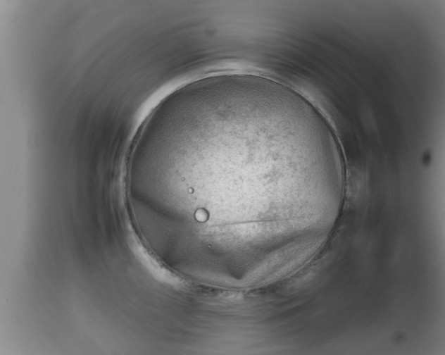 X0000112811098200908281501