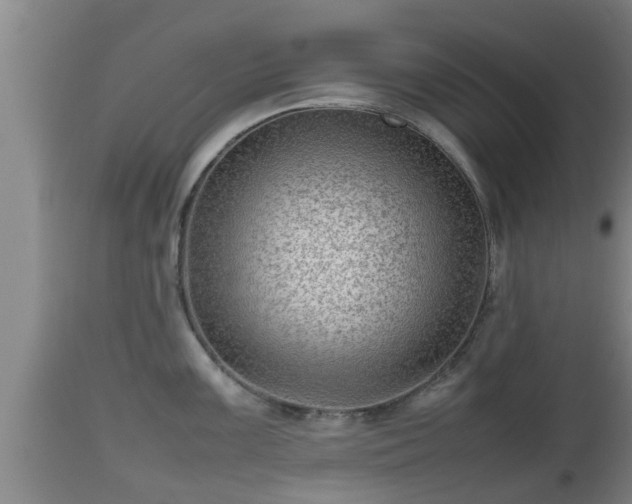 X0000112811099200908281501