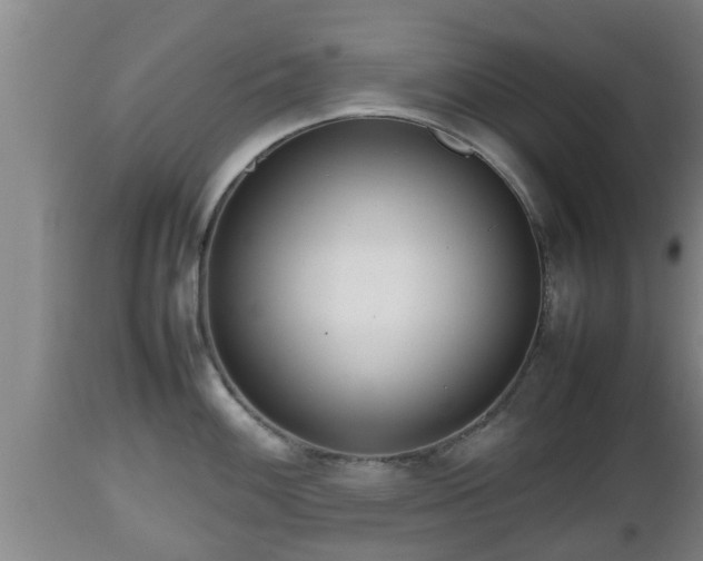 X0000112811100200908281501