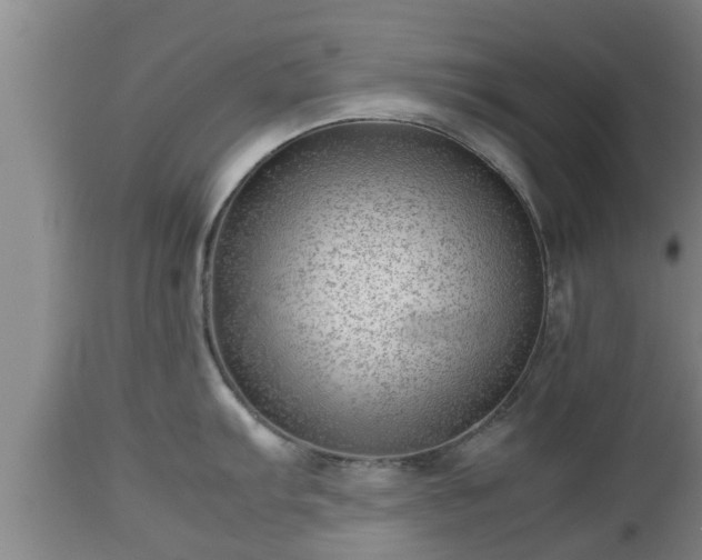 X0000112811103200908281501