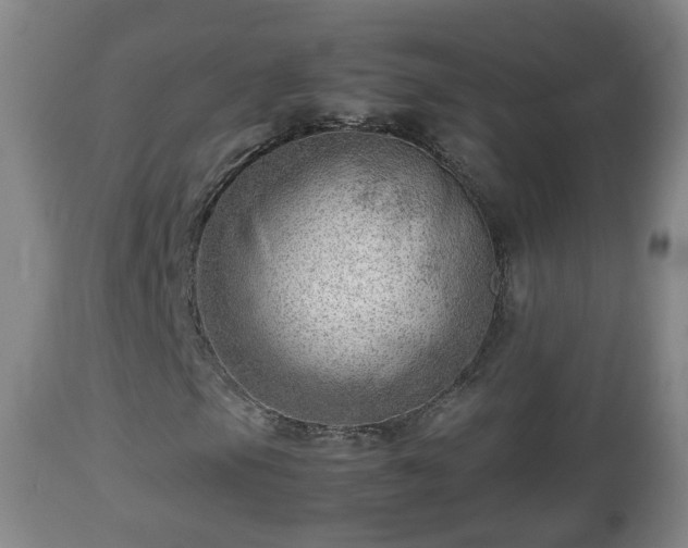 X0000112811105200908281501