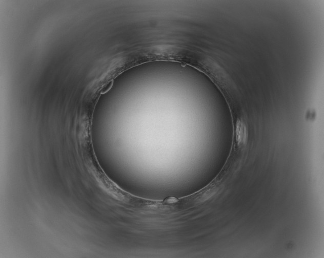X0000112811107200908281501