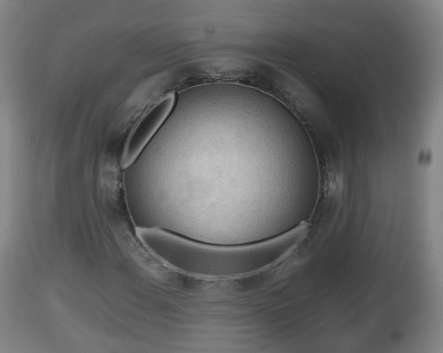 X0000112811108200908281501