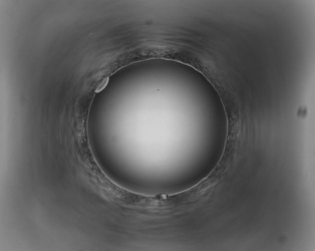 X0000112811109200908281501
