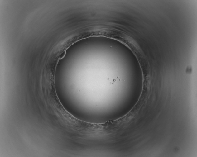 X0000112811111200908281501